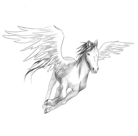 pegasus pictures to draw