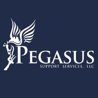 pegasus support services mission texas