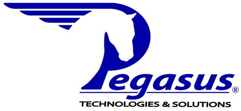 pegasus technologies inc florida