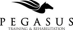 pegasus training singleton