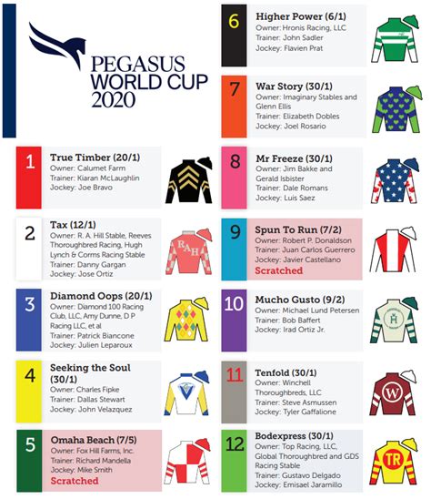 pegasus world cup 2024 order of finish