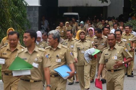 pegawai negeri sipil di indonesia
