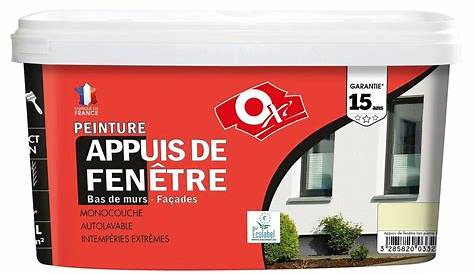 Peinture Appui De Fenetre Seigneurie Pantex MAT 15L stockage Grossiste