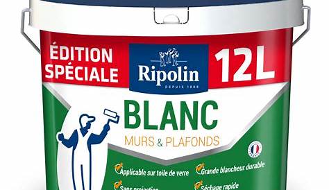 Peinture Blanc Mat Ou Satin Murale 2,5L Lessivable HOME TENDANCE