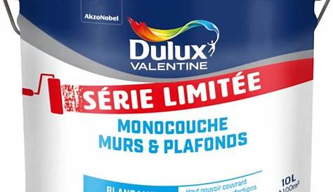 Peinture Blanche Dulux Valentine Monocouche Super Mat, Blanc 10L