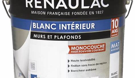 Peinture Blanche Mate Pour Murs Et Plafonds 10 L Renaulac RECA Acrylique Monocouche ADDICT