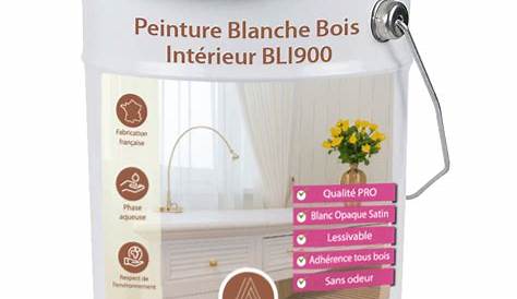 Peinture Blanche Pour Bois Interieur Castorama 4 En 1 Tollens Pro+ Velours 10L