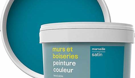 Peinture murs et boiseries Dulux Valentine Color Resist