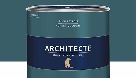 Peinture bleu pétrole velours DULUX VALENTINE Architecte 2