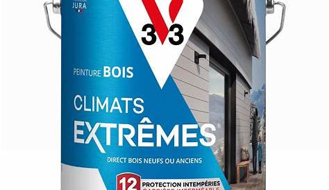 Peinture Bois Exterieur V33 Blanc Extérieure Climats Extrêmes Mat 2 L
