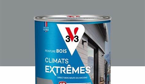 Peinture bois extérieur Climats extrêmes V33, gris galet