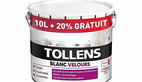 Peinture bicouche murs plafonds boiseries Tollens blanc