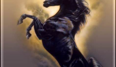 12 cheval frison noir peinture A3 116 16.5 pouces Art
