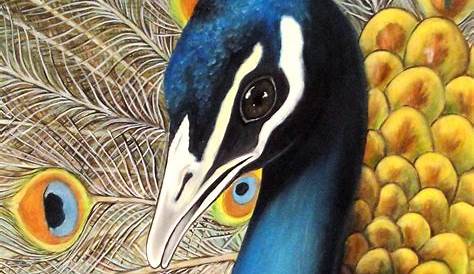 NEW DIY Diamond Painting Cross Stitch Beautiful peacock
