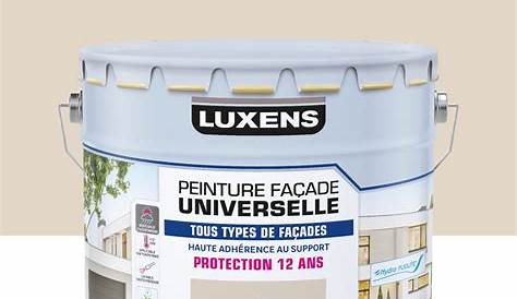 Peinture façade Murs fissurés LUXENS, sable, 10 l Leroy