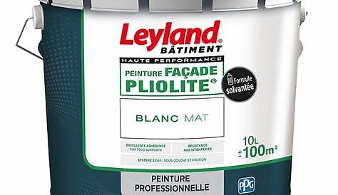Peinture façade Pliolite® Leyland blanc 10L Castorama