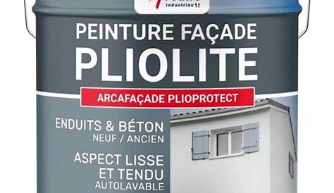 Loxxo Peinture Façade Pliolite 12L Gris ciment Ral 7040