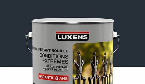 Peinture Fer Exterieur Antirouille Luxens Gris Anthracite 2 L RIPOIN Extérieur / Intérieur Xpro3 RIPOIN