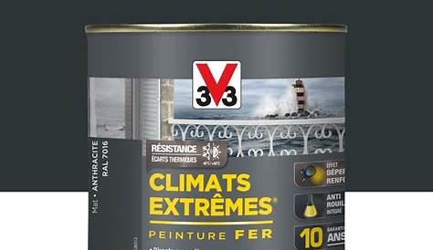 Peinture Fer Exterieur Climats Extremes V33 Gris Anthracite Façade Extrêmes , Moyen, 10 L