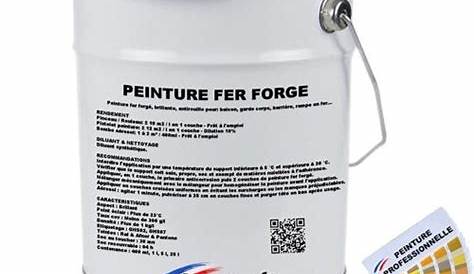 Peinture Fer Forge Leroy Merlin Extérieur Protech DULUX VALENTINE, Blanc, 0.5