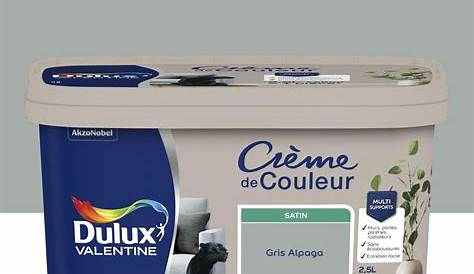 Peinture Gris Alpaga Dulux Valentine Creme De Couleur 25 L Murs Et Boiseries Crème