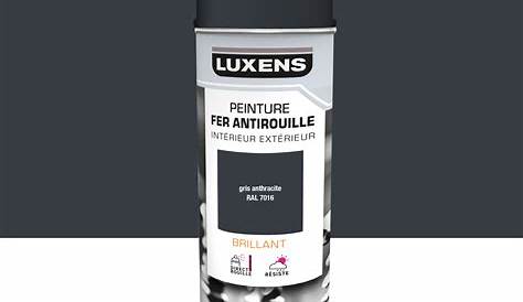 Peinture Gris Anthracite Brillant HAMMERITE Fer Pot