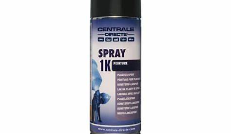 Peinture Gris Anthracite Voiture Multimatériau Extérieur 3 En 1 LUXENS,