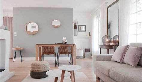 Peinture Gris Et Blanc Salon Pin On Projects To Try