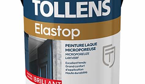 TOLLENS Peinture Prestige Premium Laqué Brillant Gris