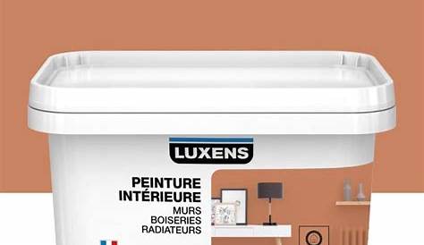 Peinture Luxens Mat Couleurs Interieures Intérieures LUXENS, Gris Smoke 5, 2.5 L