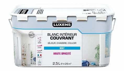 Peinture Luxens Mat [Get 42+] Blanc Mur