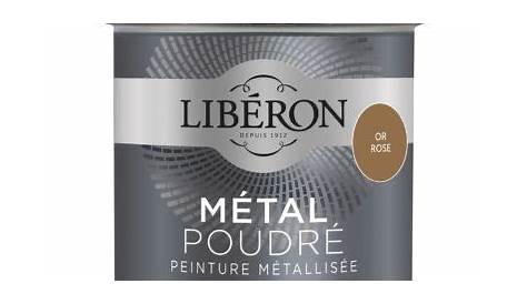 Peinture Metallisee Pour Bois Castorama Syntilor Ultra Protect Gris Anthracite 2,5L