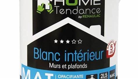 Peinture murale 10L blanc mat lessivable HOME TENDANCE