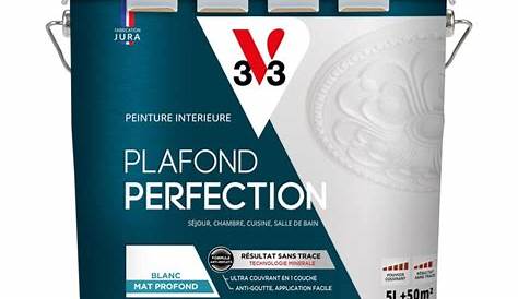 Peinture Plafond Blanc Mat Murs & s Dulux Valentine 15L