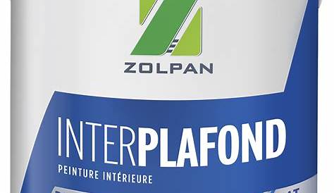 Peinture blanche plafond Xpro3 taché RIPOLIN, mat 2.5 l