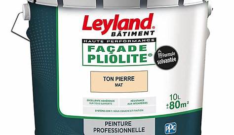 Peinture façade Hydro Pliolite Tollens pro + ton pierre