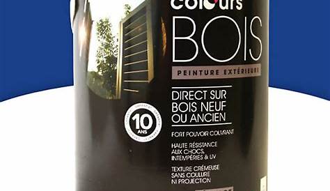 Peinture Pour Bois Exterieur Castorama Syntilor Microporeuse Gris Anthracite 2,5L