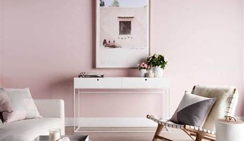 Peinture acrylique mur rose poudré Champagne godme