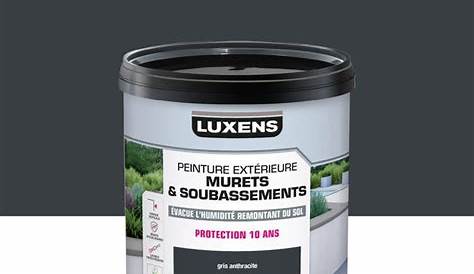 Peinture Soubassement Exterieur Gris Facade 2 En 1 Colours Anthracite 2 5l Castorama