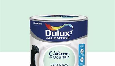 Peinture Vert Deau Dulux Valentine Crème De Couleur Mat D'Eau 0,5 L