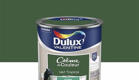 Peinture Vert Profond Dulux Valentine Bicouche Intérieure Color Resist Murs Et