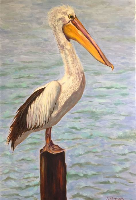 pelican painting on canvas