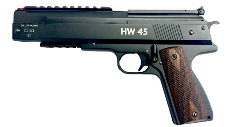 Pellet Gun Pistol Range