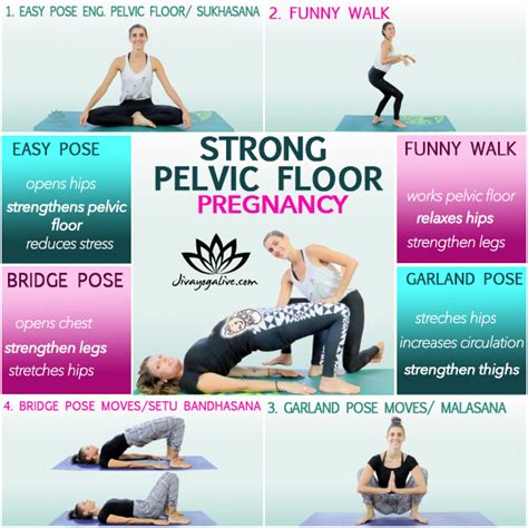 Pelvic Exercises for Pregnancy: Strengthen Your Core Safely