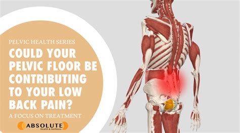 pelvic floor back pain