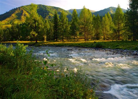 Pemandangan Sungai Dan Gunung: Keindahan Alam Yang Mempesona