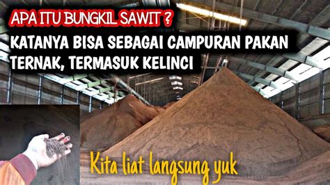 pembuatan bungkil sawit indonesia