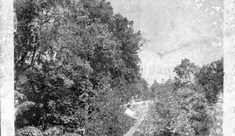 RAILWAY TRACK AT BUKIT BENDERA (SHENG QI SHAN OR PENANG HILL … | Penang