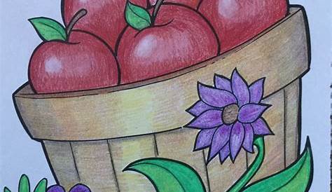 Pencil Drawing For Kids With Colour Rose Colored s Rose