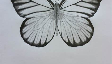Pencil Drawings Easy Butterfly How To Draw A Surprisingly